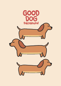 Dachshund : Good Dog!
