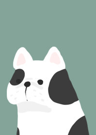 bull bulldog