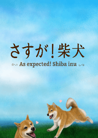 As expected! Shiba Inu