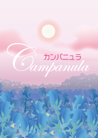 カンパニュラ