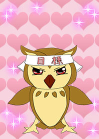 Longevity Lovely Owl Owl