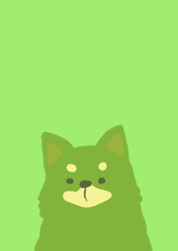 Shiba dog green