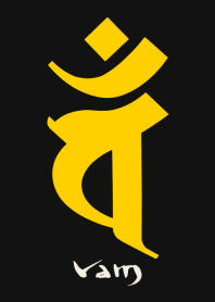 BONJI zodiac [vaM] BLACK YELLOW (0661