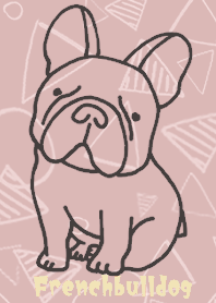 Dull pink french bulldog