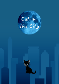 Cat in the city