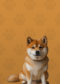 Cute Shibainu Theme Brown 04