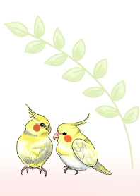 Lovely two cockatoos Theme