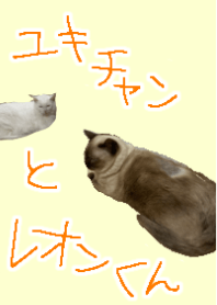 Yuki-chan & Leon-kun revised version