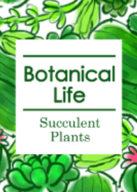 Botanical life / succulent plants