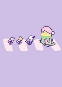 cute budgie