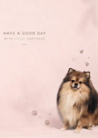 PomPom chill chill MooDang