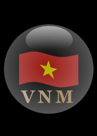 VNM 3