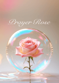Prayer Rose