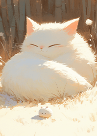 微風の中で眠る猫❤️