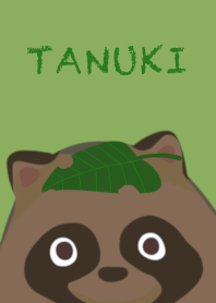 Tanuki Raccoon