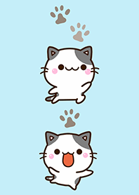 Chibi Buchi