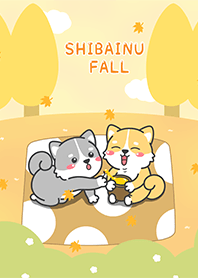 ShibaInu Fall