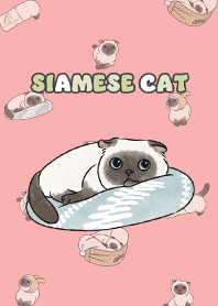 siamesecat7 - coral