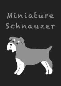 Miniature Schnauzer