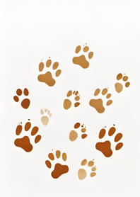 Cat paw prints VOXjx