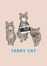 tabbycat11 / sea shell