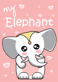 My Elephant