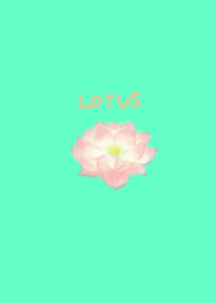 Refreshing lotus