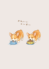 我養的可愛柯基犬(米色)