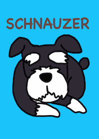 MR.SCHNAUZER