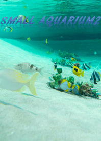 アクアリウム2 ver.2