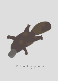 Platypus
