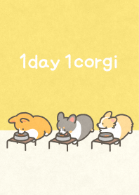 1corgi colors -Yellow-