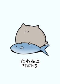 niwaneko silver tabby