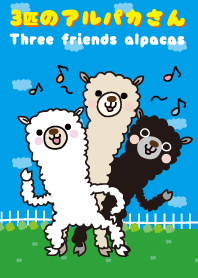 Three friends alpacas