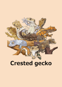 ENOGU crested gecko Reptiles Theme