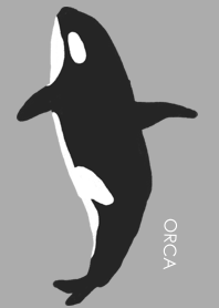 orca & sea