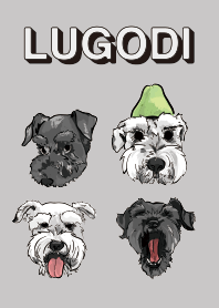 雪納瑞- Lugo&Godi