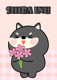 Black Shiba Inu Love Pink Color Theme