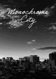 Monochrome City モノクロの東京の街