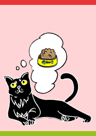 Thinking Cat3 on red