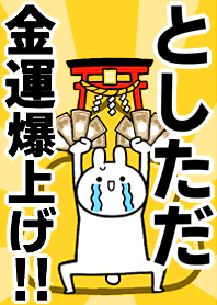 Fortune rise rabbiit[Toshitada]