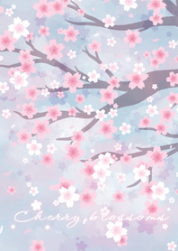 [Flower Love story]Cherry blossoms