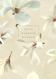 White magnolia blossom