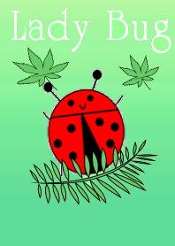 Lady Bug