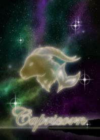 night sky and Capricorn JPN