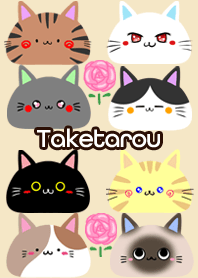 Taketarou Scandinavian cute cat4
