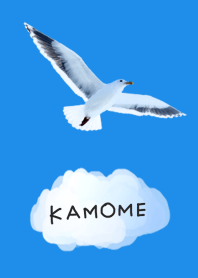 A sea gull in Shiretoko