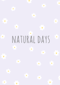 NATURAL DAYS -purple gray-