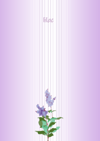 June birth flower,lilac