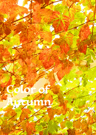 Color of Autumn